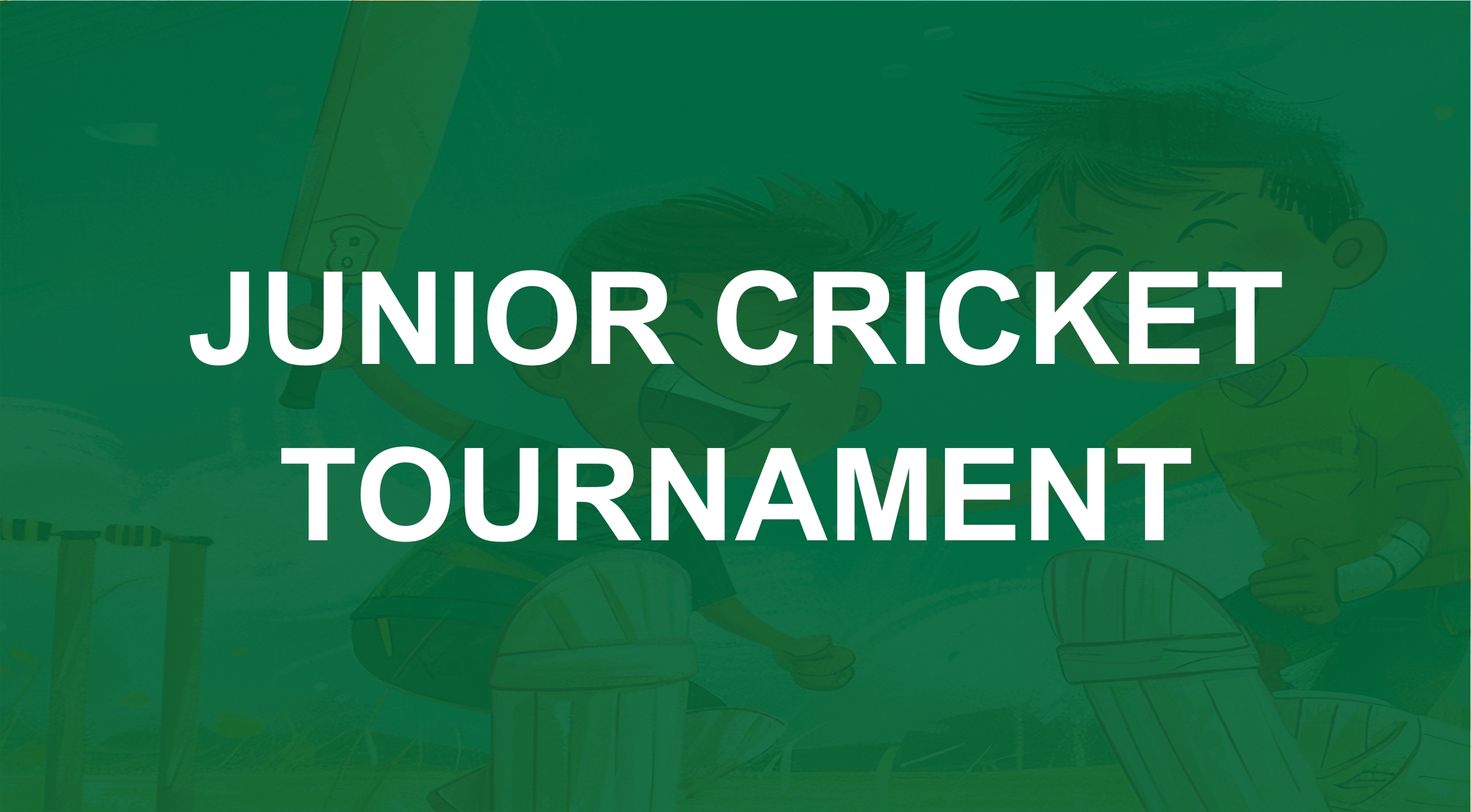 Junior Cricket